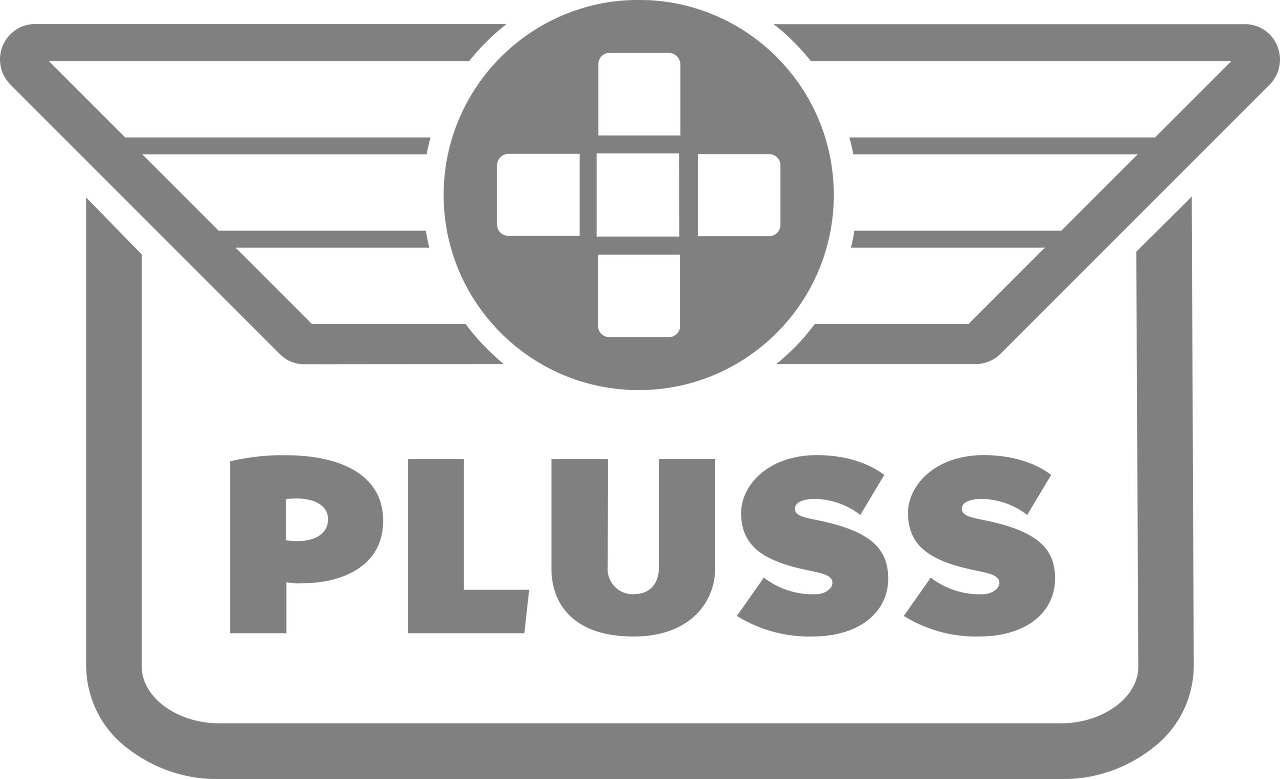 Pluss Corporation