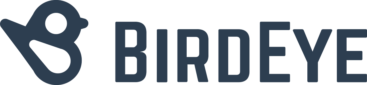 BirdEye