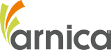 Arnica