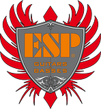 Electric Sound Products