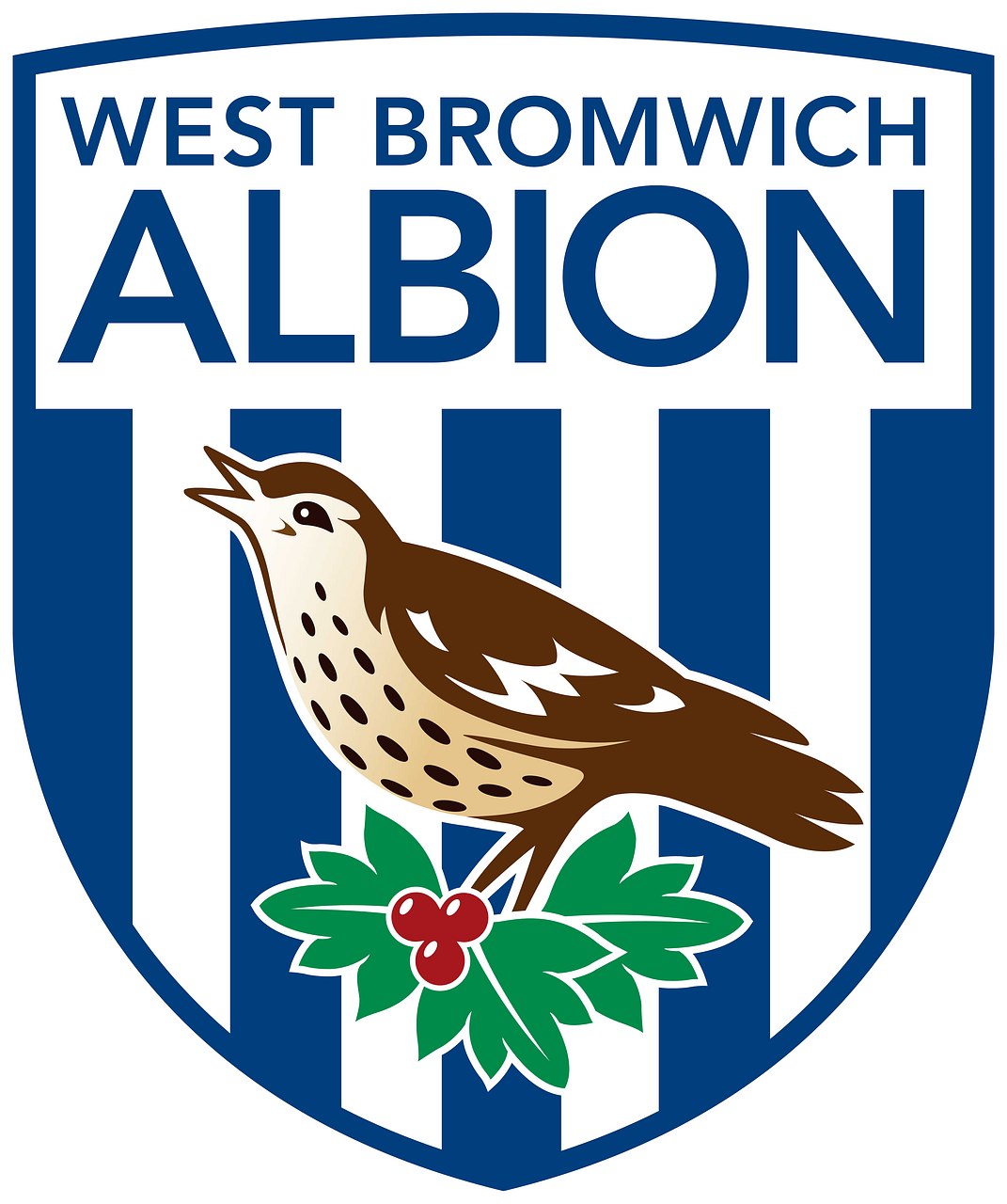 West Bromwich Albion FC