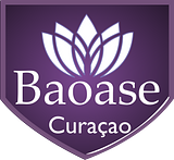Boase Hotel Curacao