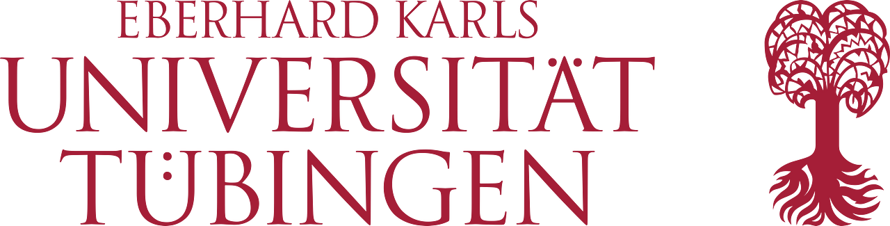 Eberhard Karls University