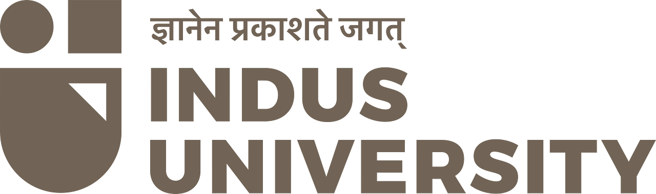 Indus University