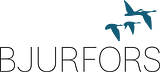 Bjurfors