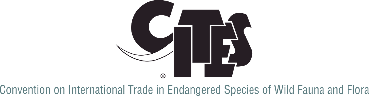 Convention on International Trade in Endangered Species of Wild Fauna and Flora