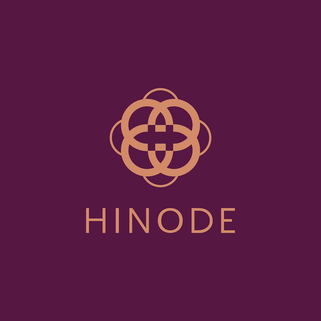 Grupo Hinode