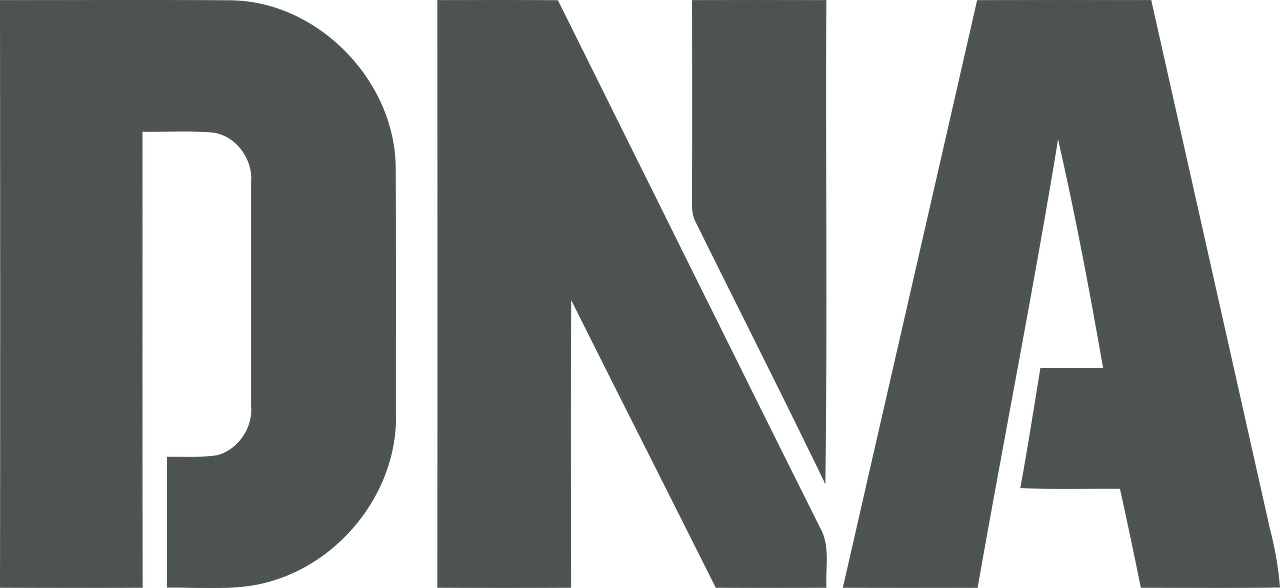 Daily News & Analysis