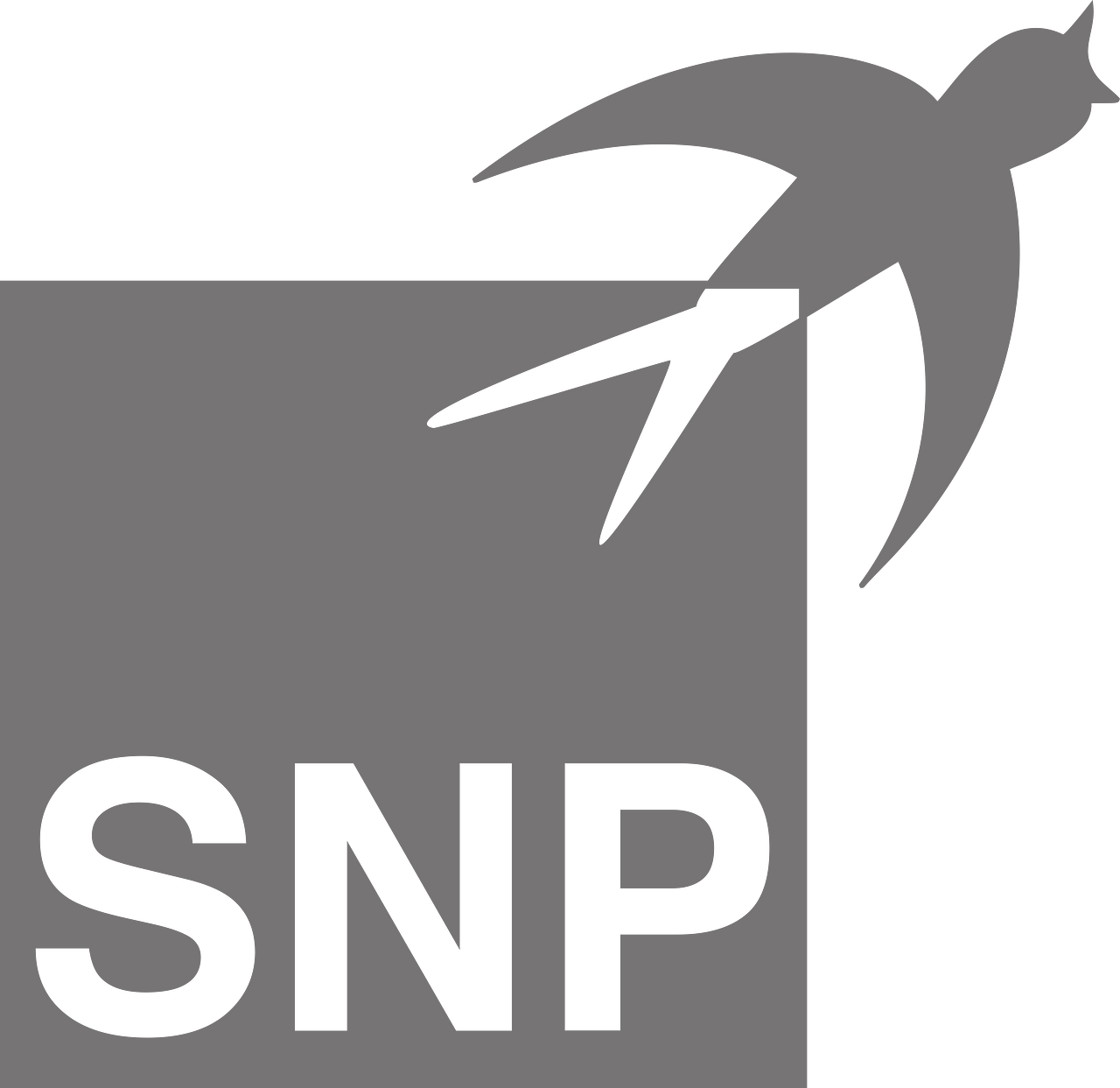 SNP SE