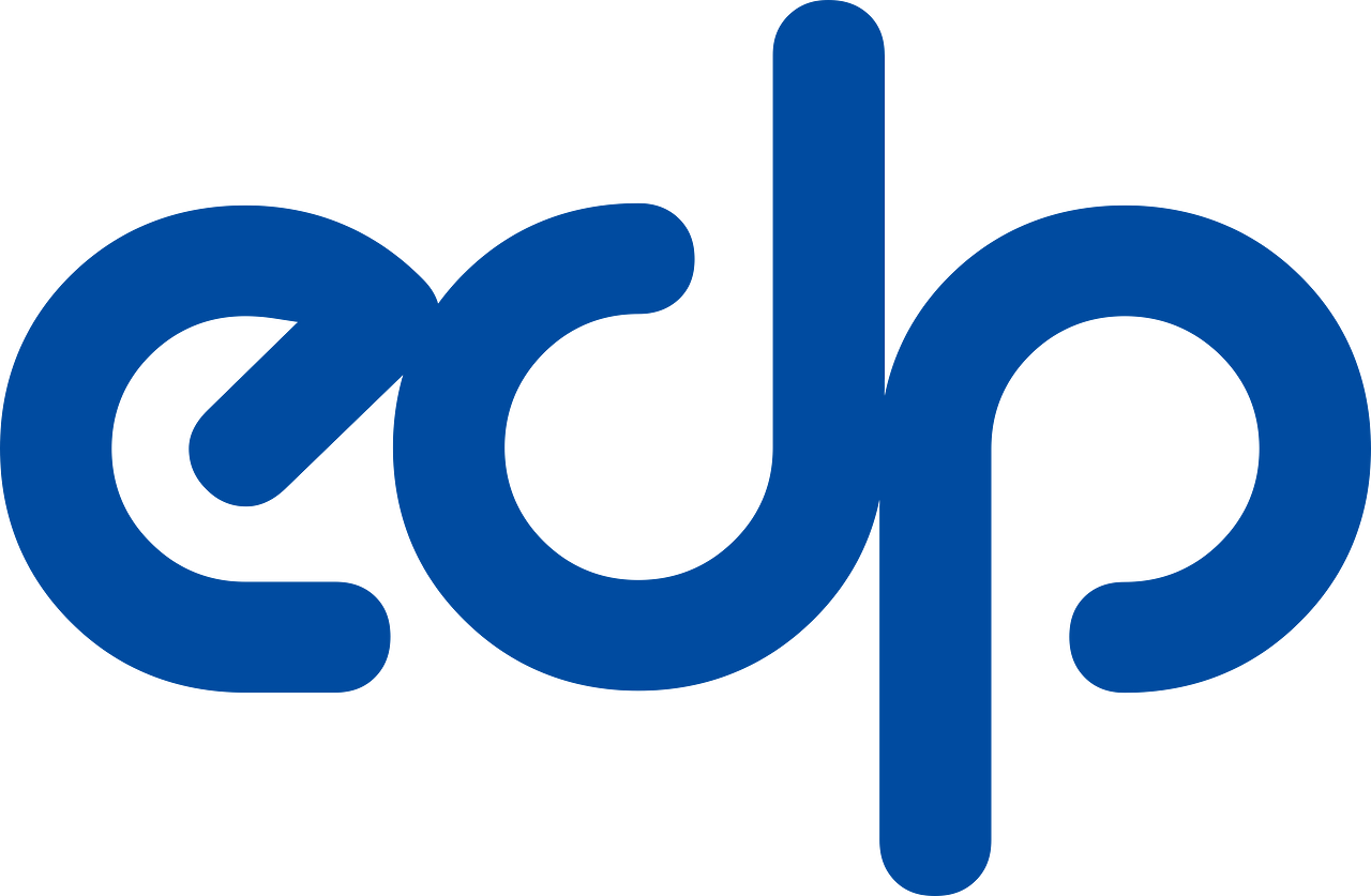 EDP Software