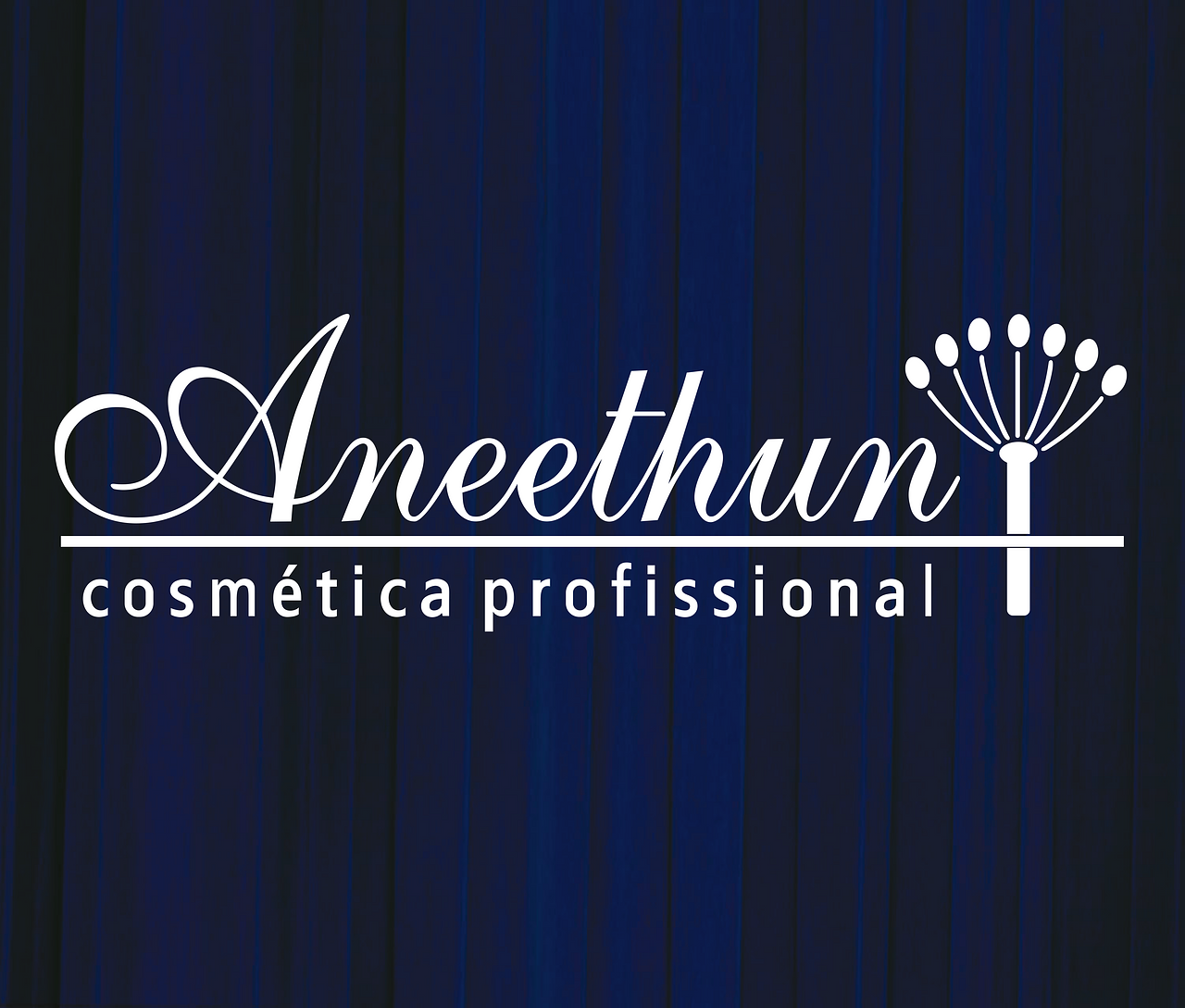 Aneethun