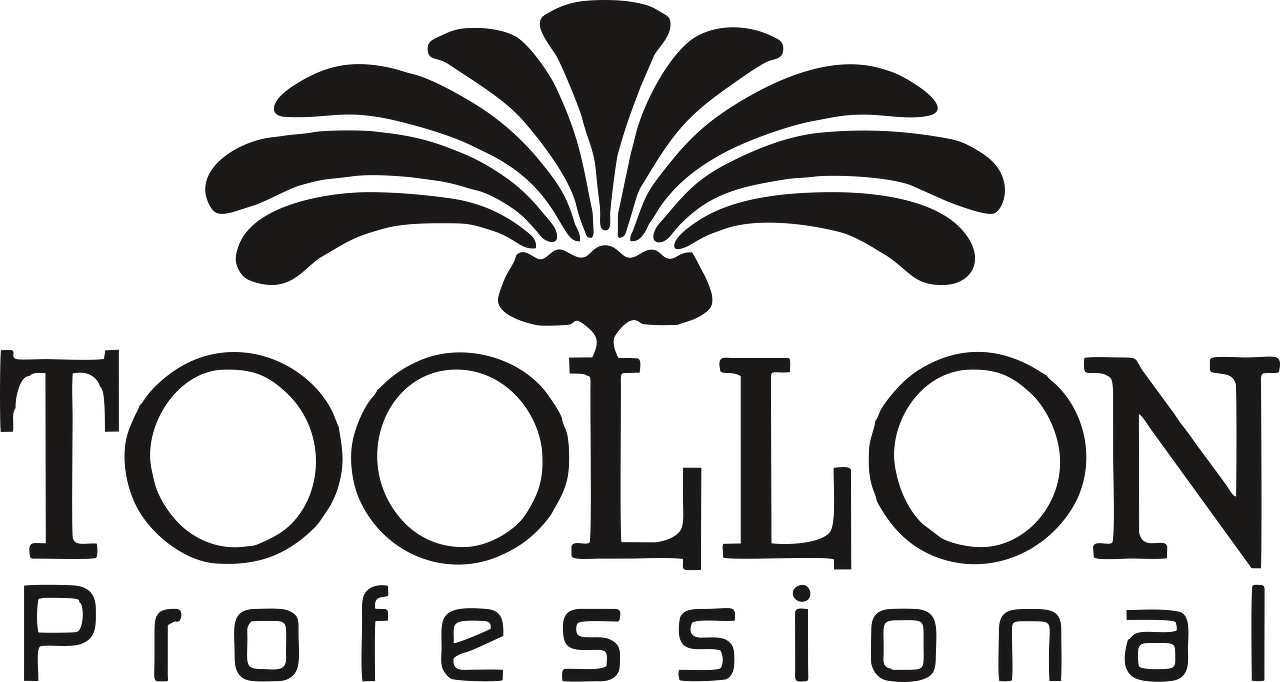 Toollon