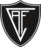Académico de Viseu