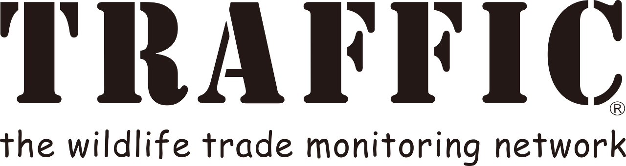 Traffic International