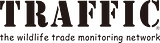 Traffic International