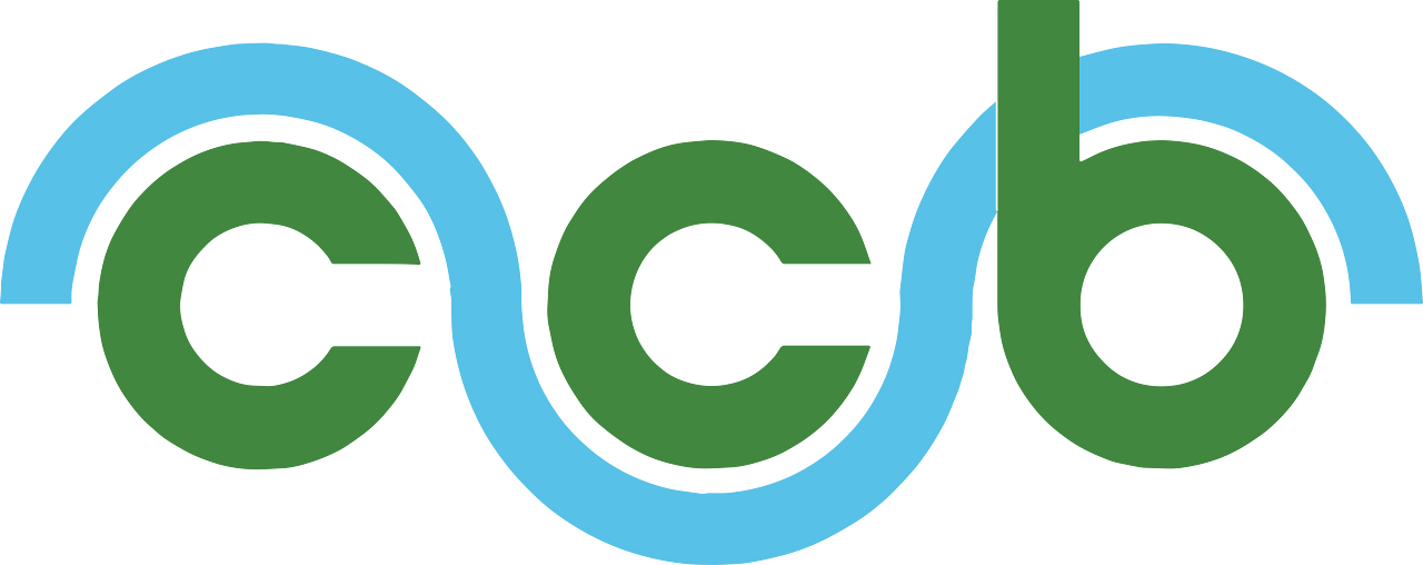 Cuckmere Buses