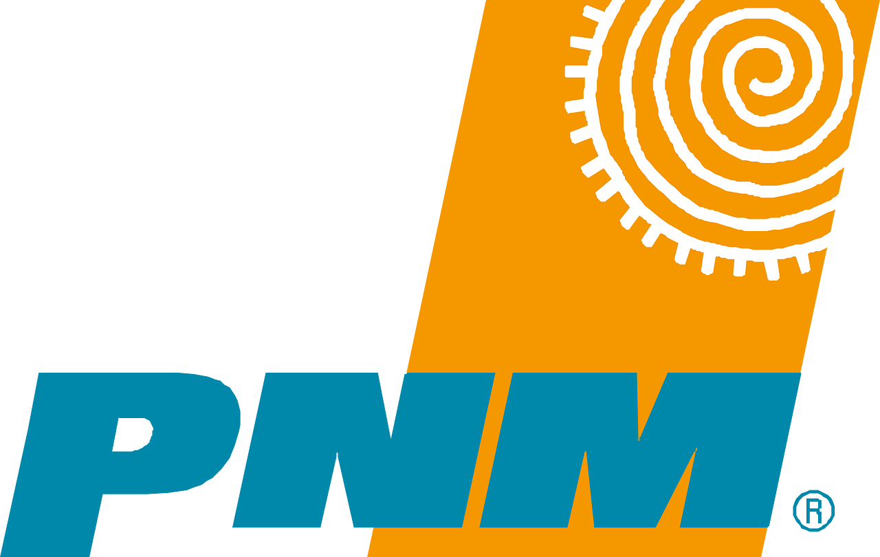 Public Service Company of New Mexico