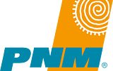 Public Service Company of New Mexico