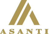 Asanti Wheels