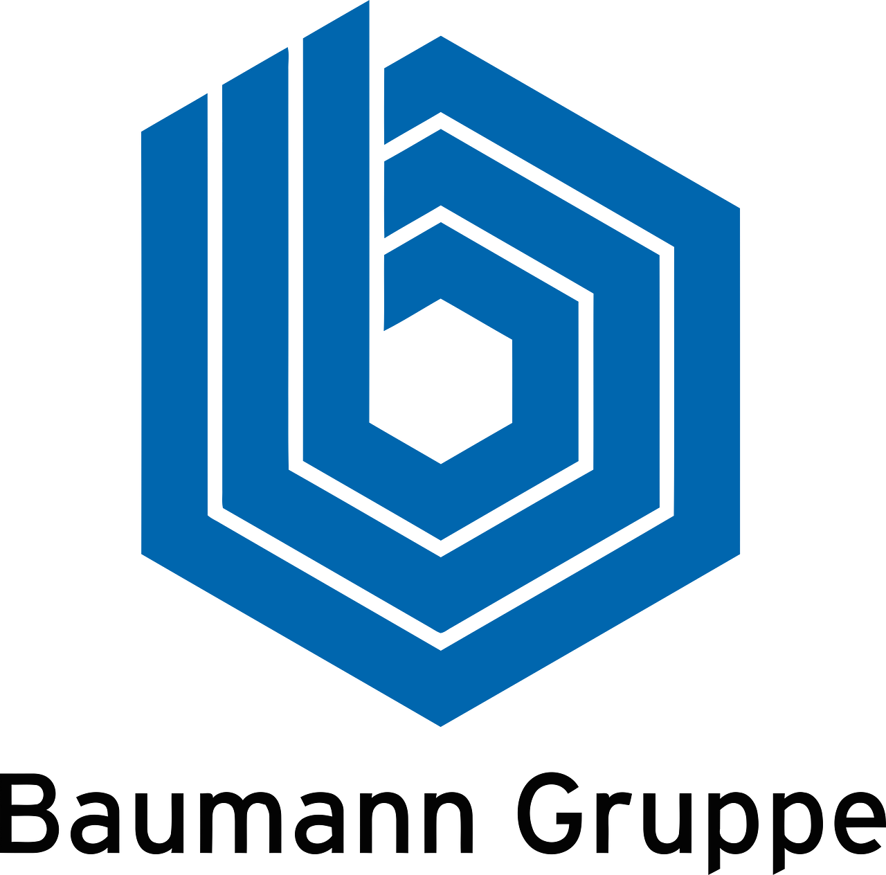Baumann Gruppe