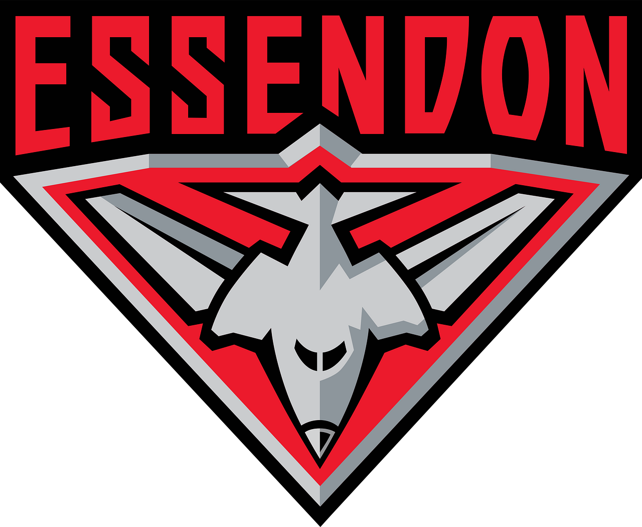 Essendon Bombers