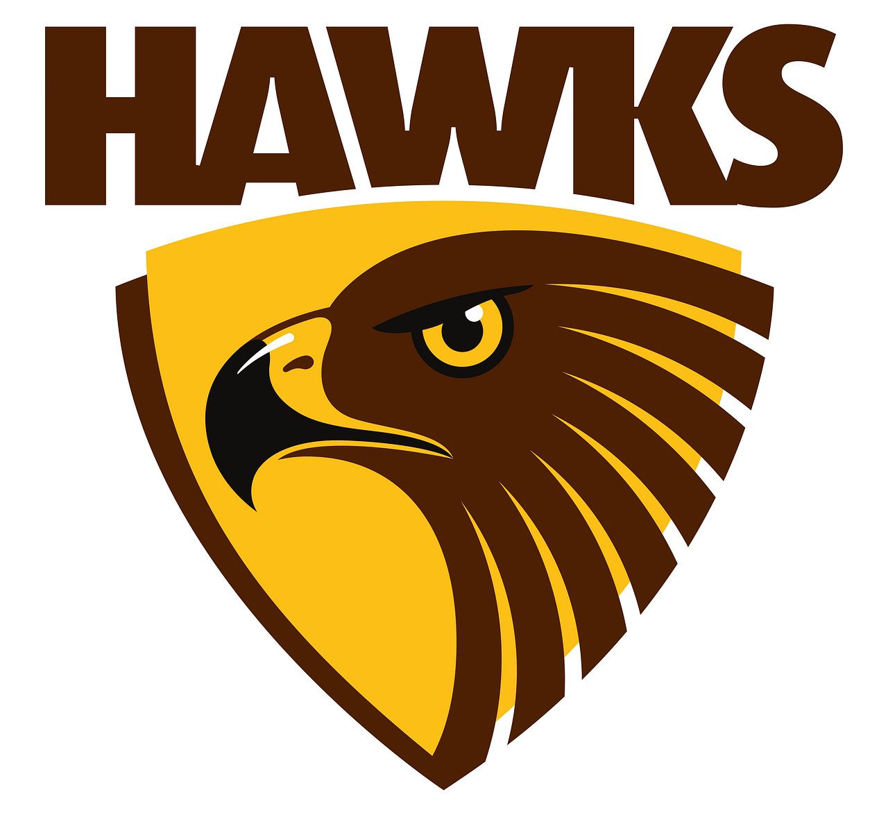 Hawthorn Hawks FC