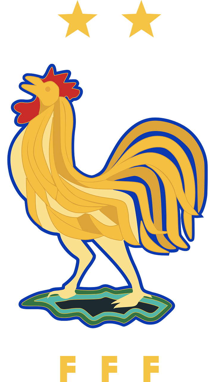 France National Football Team