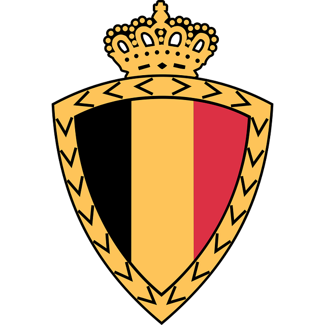 Belgium National Football Team
