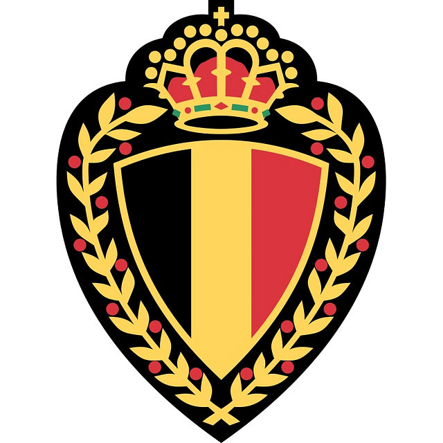 Belgium National Football Team