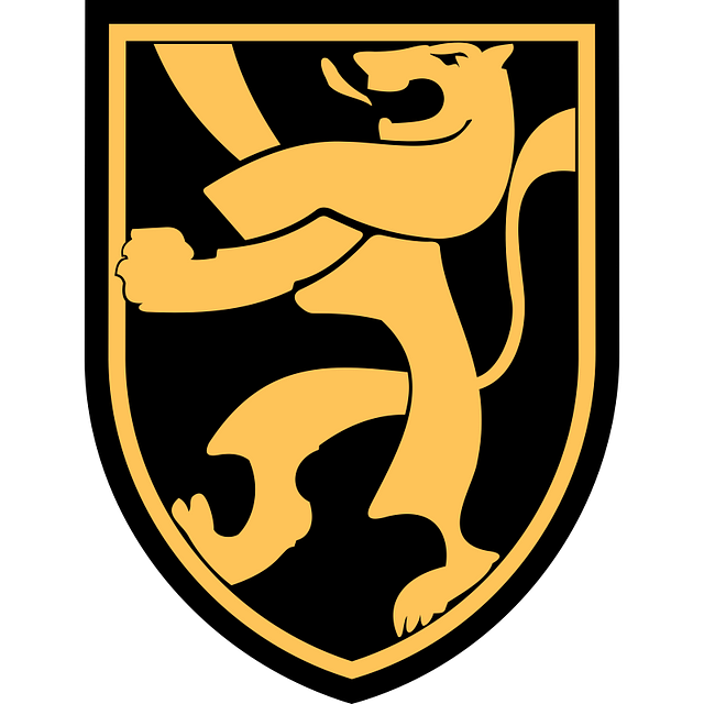 Belgium National Football Team