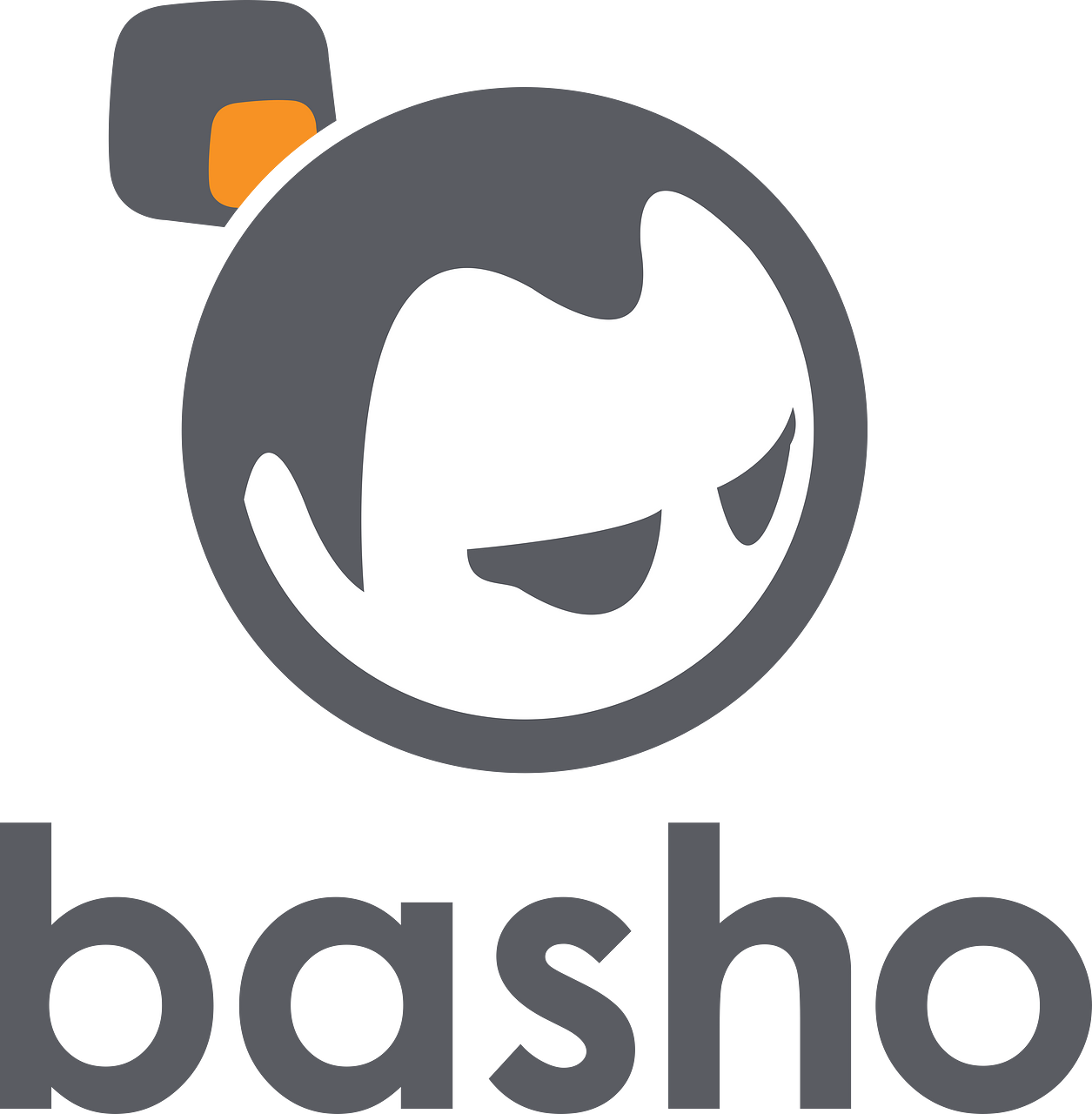 Basho Technologies
