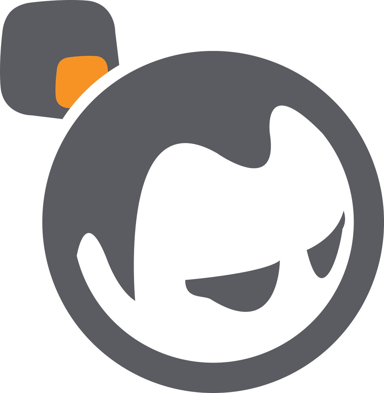 Basho Technologies