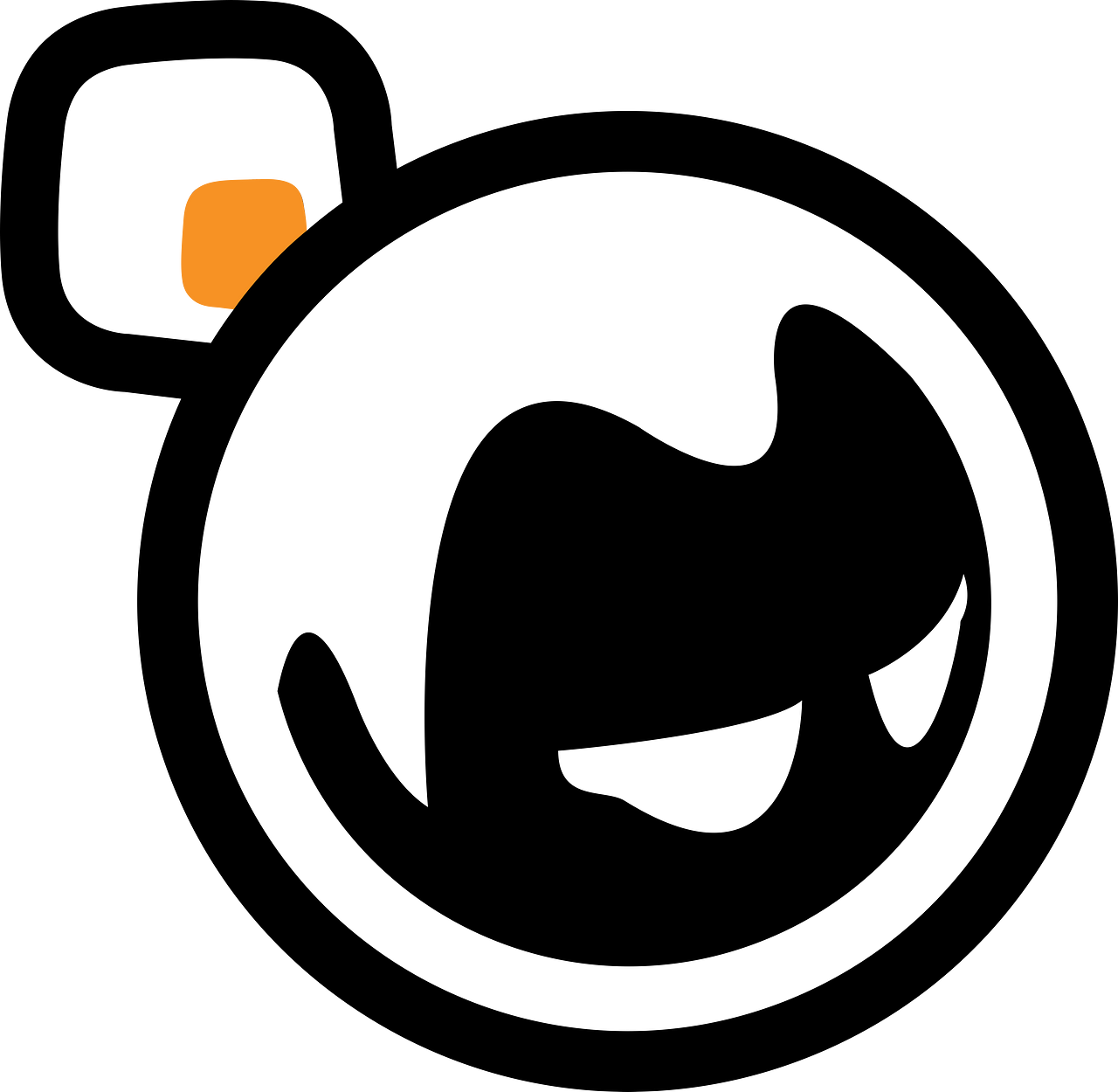 Basho Technologies