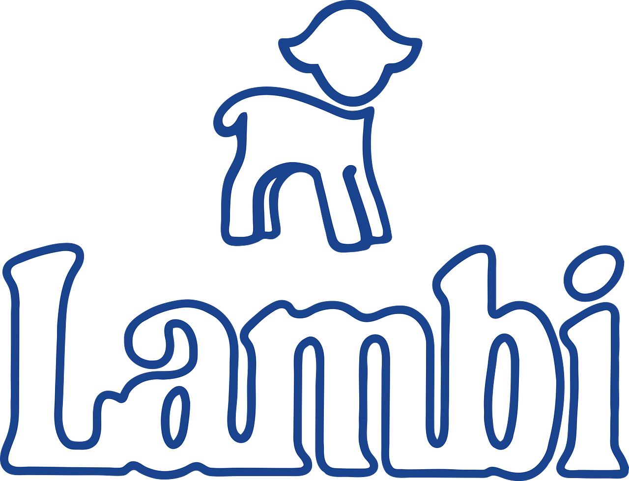 Lambi