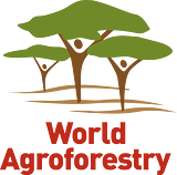 World Agroforestry