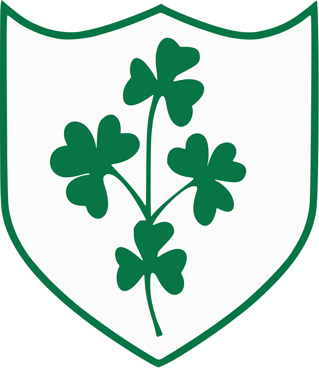 Northern Ireland National Football Team