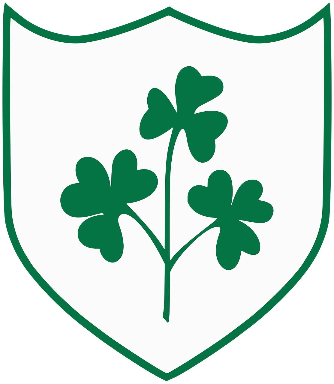 Northern Ireland National Football Team