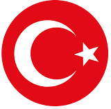 Turkey national football team