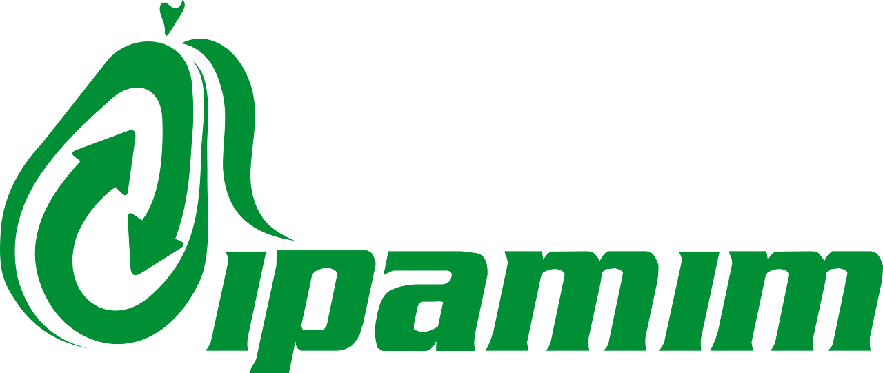 Ipamim