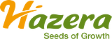 Hazera