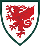 Wales National Football Team