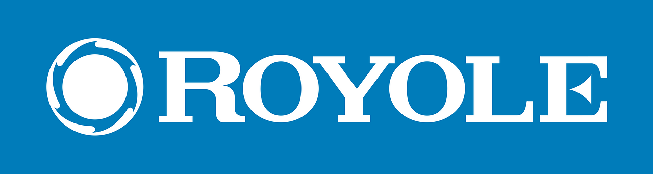 Royole