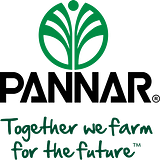 Pannar Seed