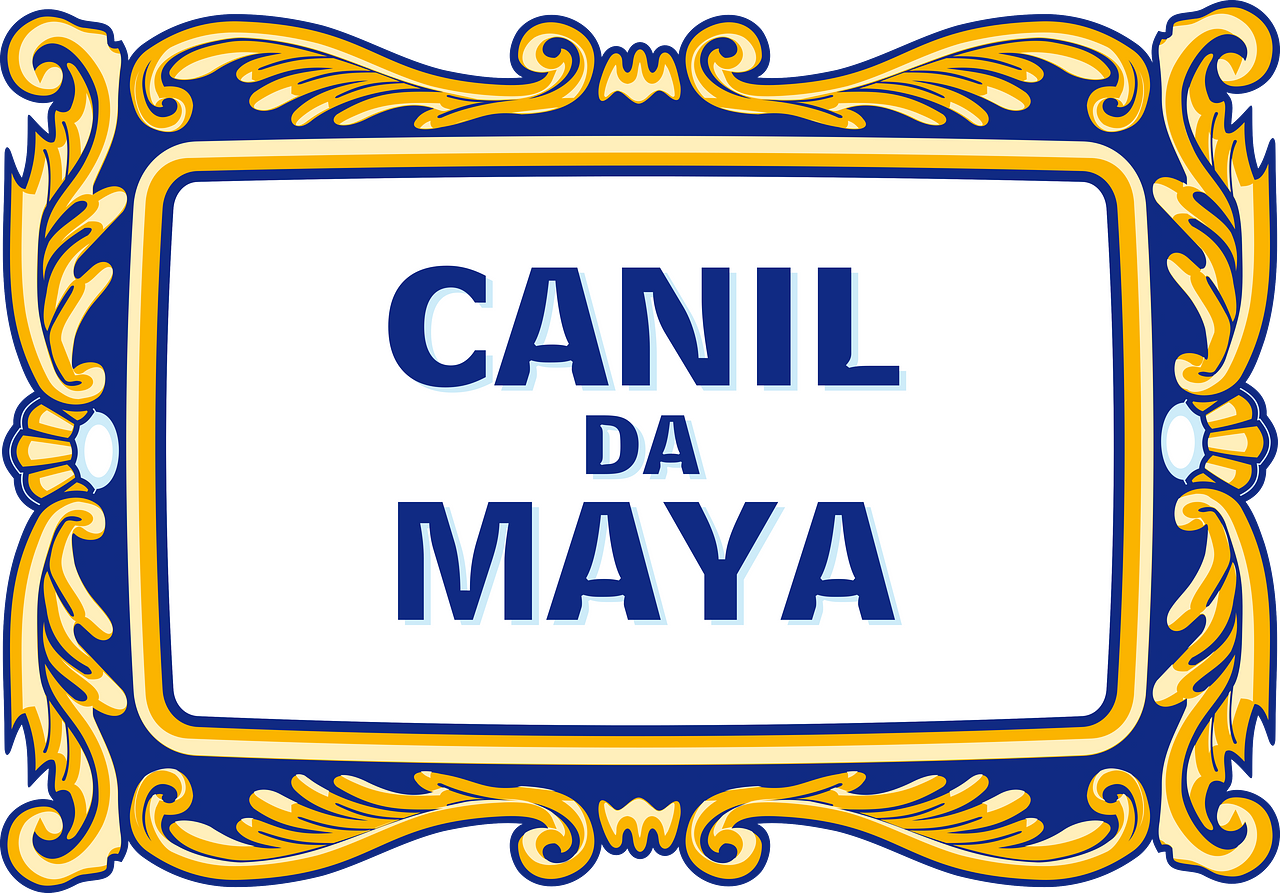 Criadores de Cães