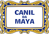 Criadores de Cães