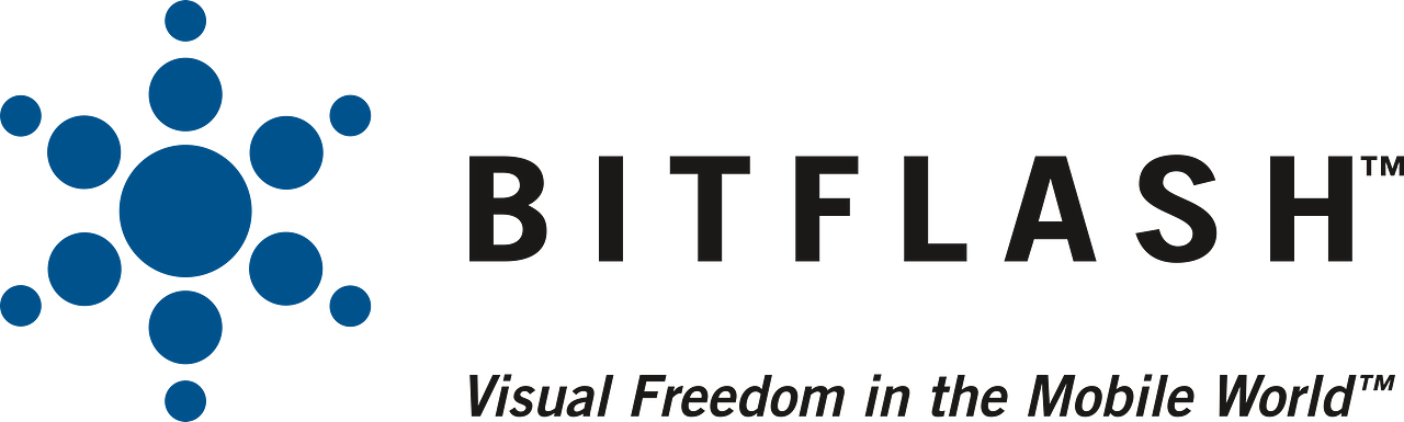 Bitflash