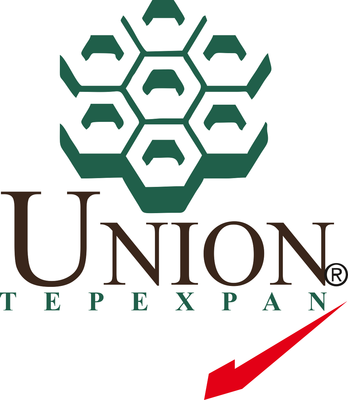 Unión Tepexpan