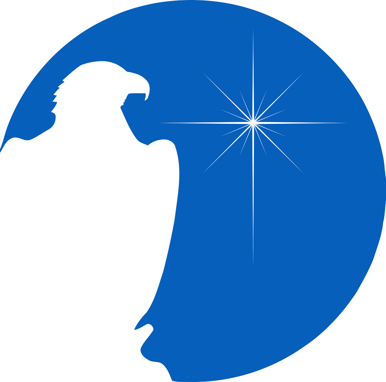 MorningStar Ministries