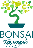 Bonsai Teppanyaki