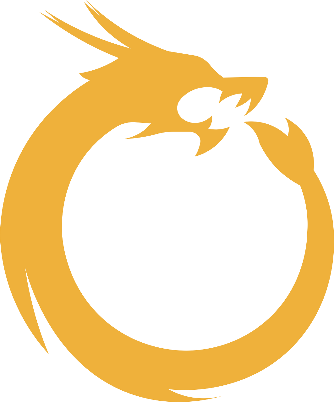 Dragon Coins